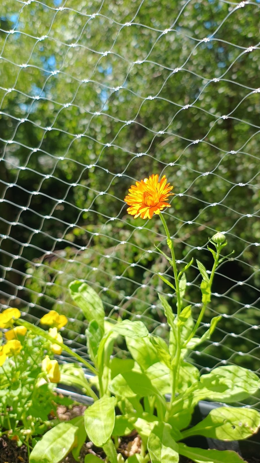 Happy in the summer!